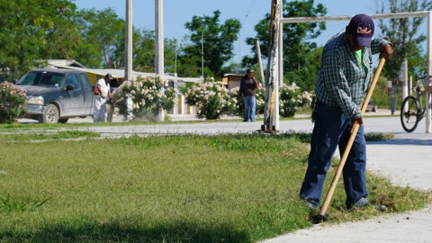 Mantenimiento en la plaza Nuevo León