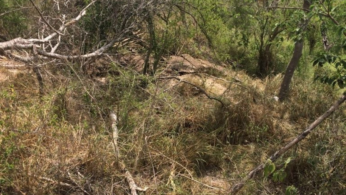 Inician autoridades peritajes en el lugar del túnel