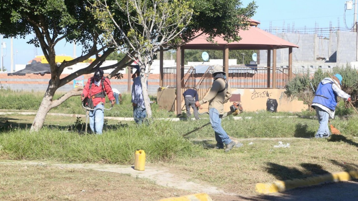 Promueve cultura ambiental Voluntariado Joven