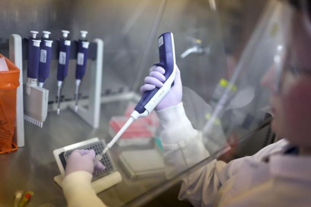 OMS aclara que muerte de paciente mexicano no es atribuible a gripe aviar H5N2