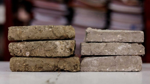 Crean ladrillos con heces de perro