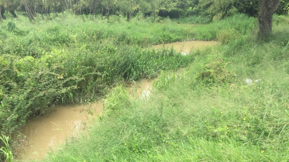 Piden denunciar empresas que rellenan terrenos