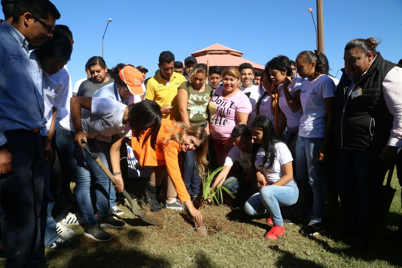 Promueve cultura ambiental Voluntariado Joven