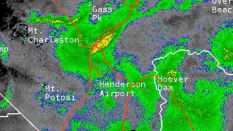 Plaga de saltamontes invade Las Vegas