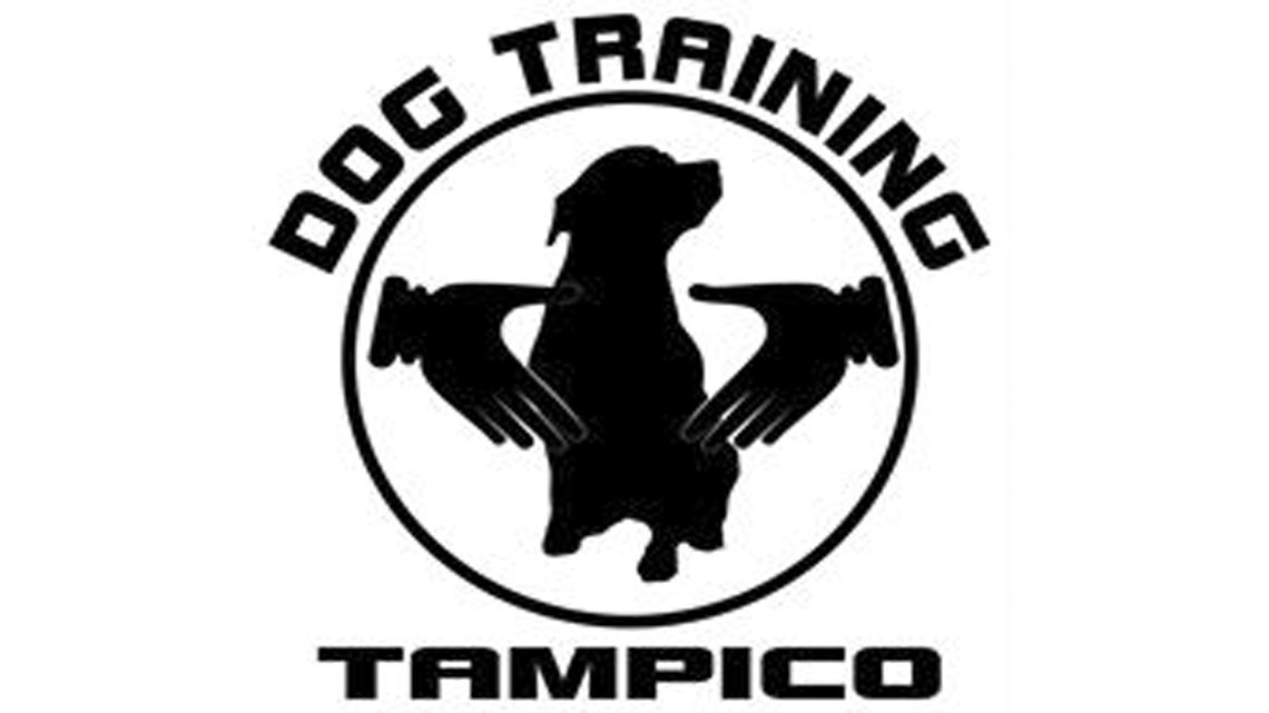 Dogtraining Tampico, entrenamiento y pasión por los caninos