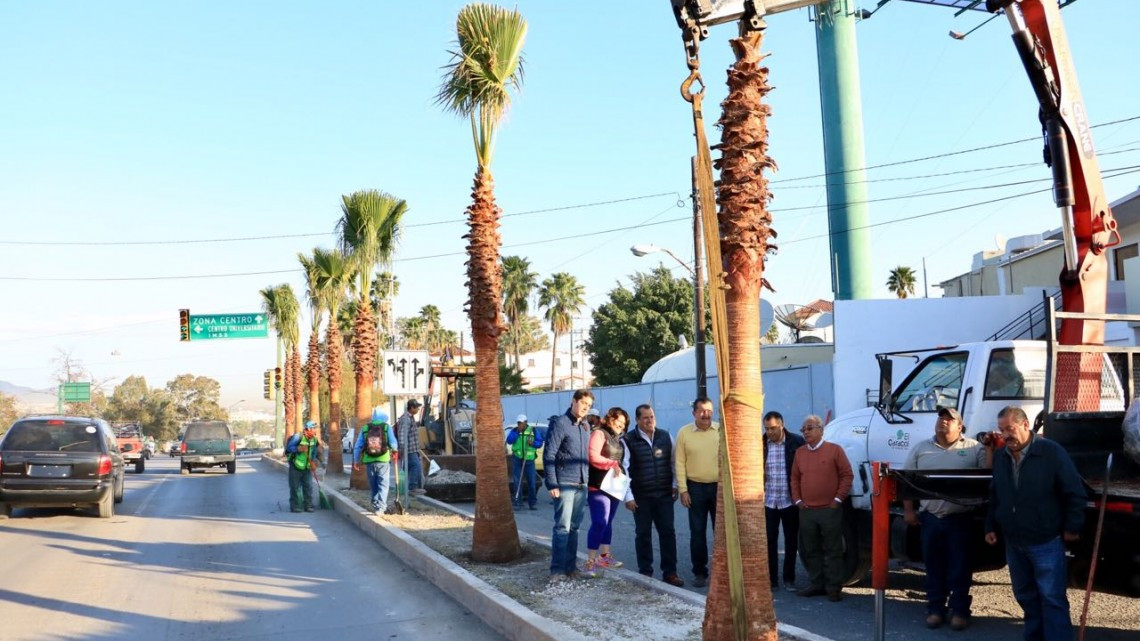 Dan mantenimiento a avenidas principales