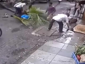 Revelan video de la conductora que fue aplastada por una palmera 