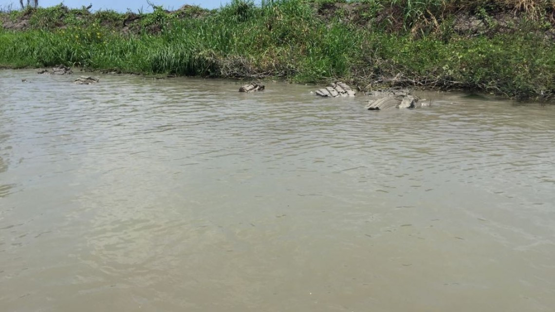 Bajos niveles de Laguna, afecta el sector pesquero