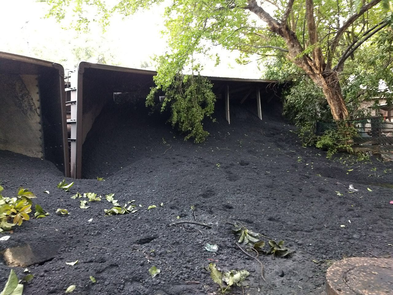 Descarrilamiento de tren sorprende a familias