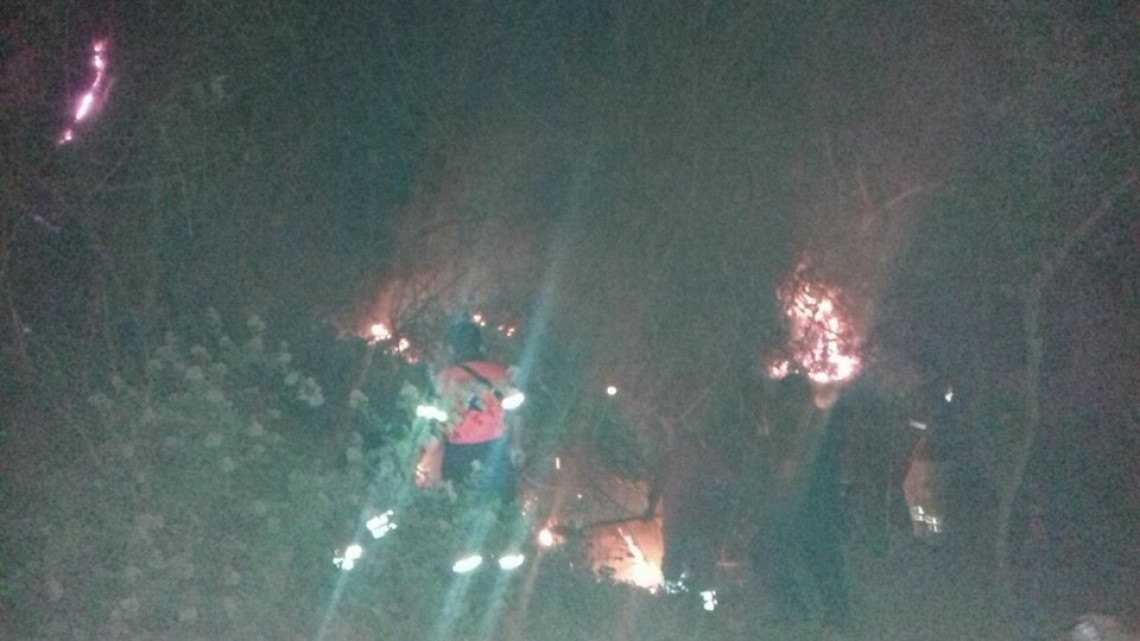 Incendio forestal se propaga por Acapulco