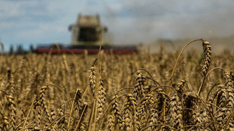 Ucrania y aliados acusan a Rusia de elevar los precios globales del grano