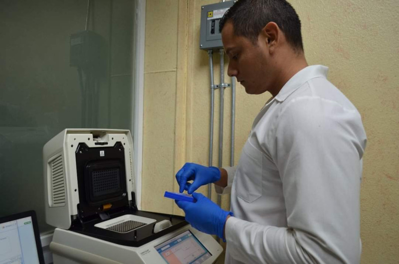 Confirma Tamaulipas 260 nuevos casos y 11 defunciones por COVID-19 