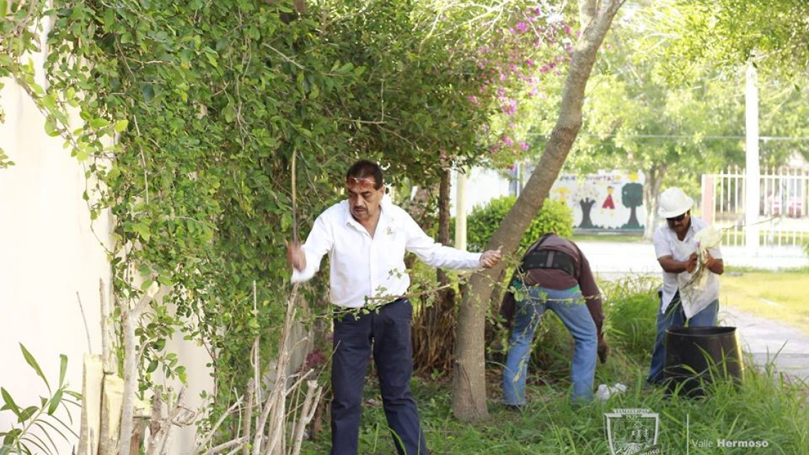 Levantan ramas que obstruían el paso