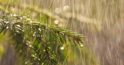 ¡Disfruta este domingo al máximo! Conoce el pronóstico del 22 de septiembre