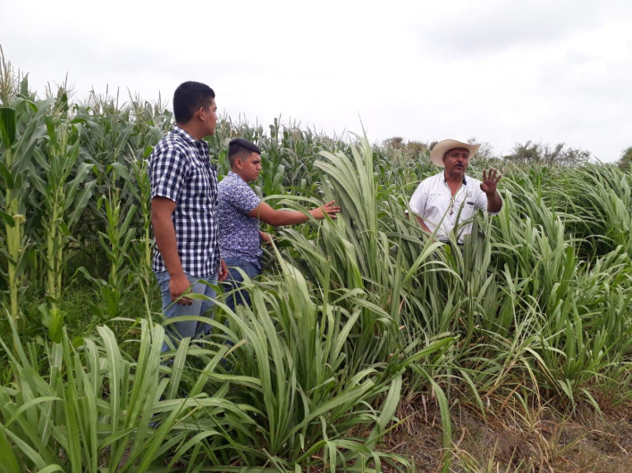 Urge cambio de mentalidad en el campo, para iniciar la reforestación de las tierras