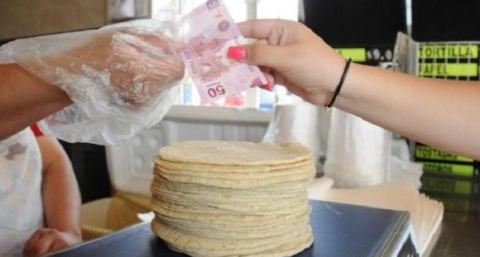 Kilo de tortillas alcanzaría los 20 pesos