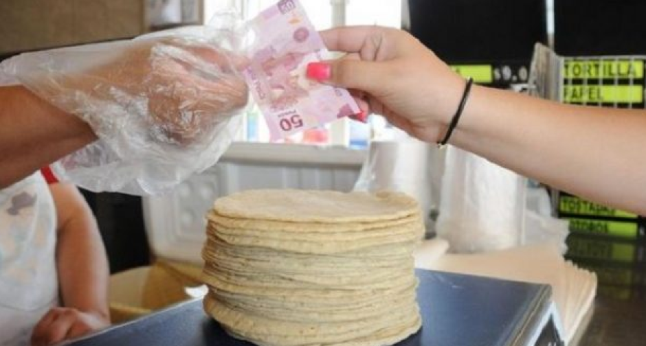 Kilo de tortillas alcanzaría los 20 pesos