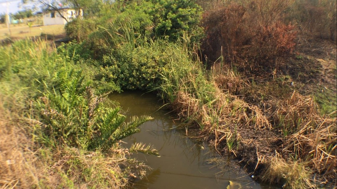 Sin resolver problema de contaminación de termoeléctrica