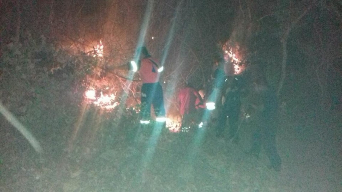 Incendio forestal se propaga por Acapulco