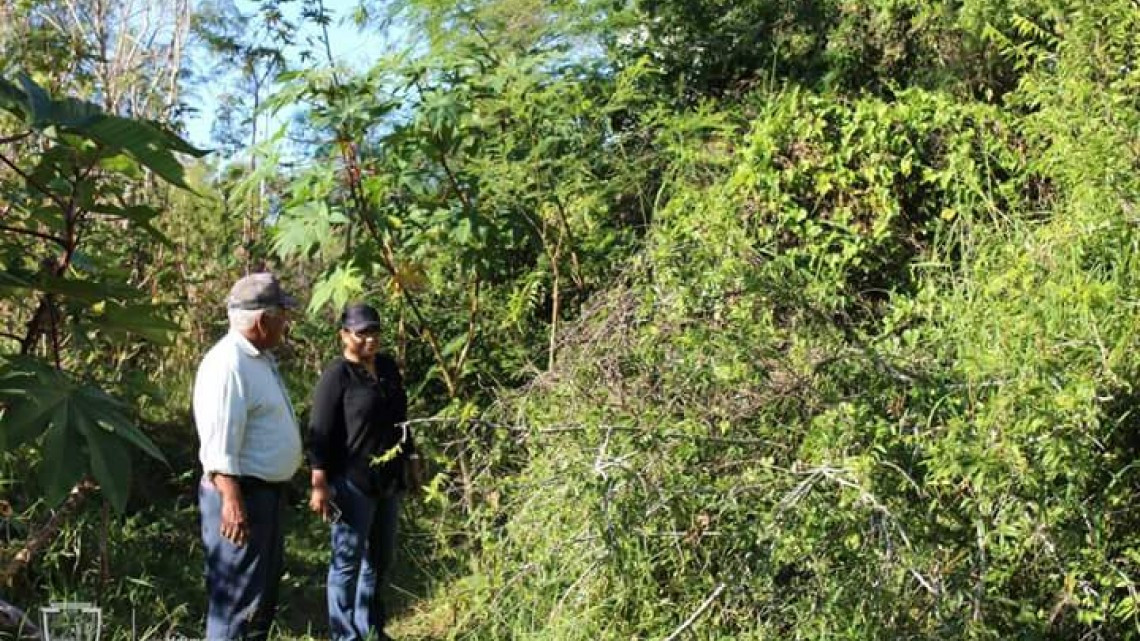 Realizan actividades del programa “Limpiando tu colonia”