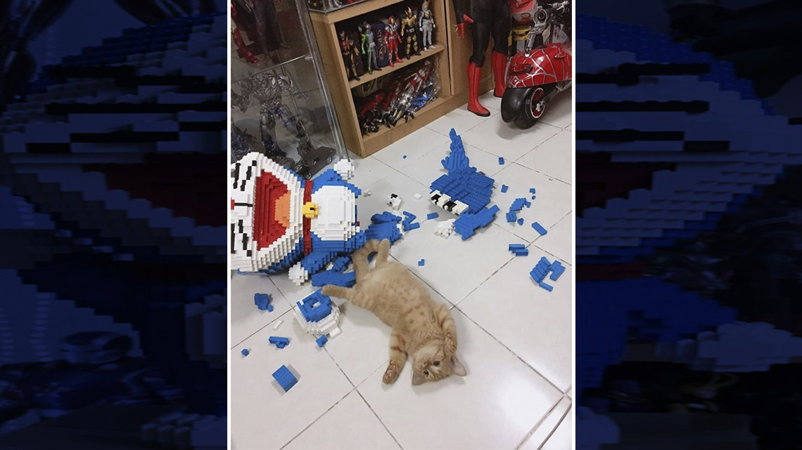 Tierno gatito destruye escultura de LEGO 