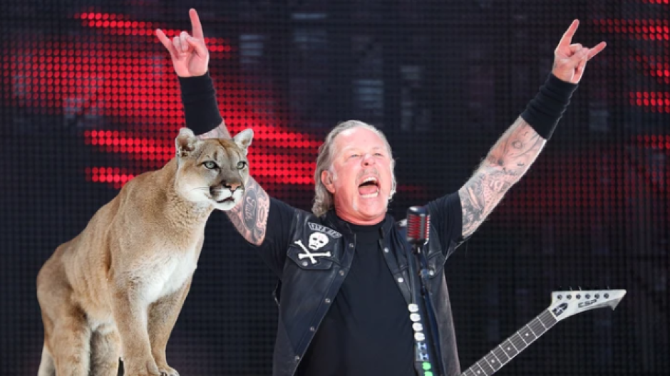 Metallica salva la vida a una mujer de un ataque de puma