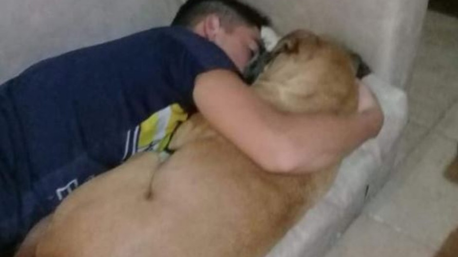 Perrita muere en brazos de su dueño a causa de la pirotecnia 