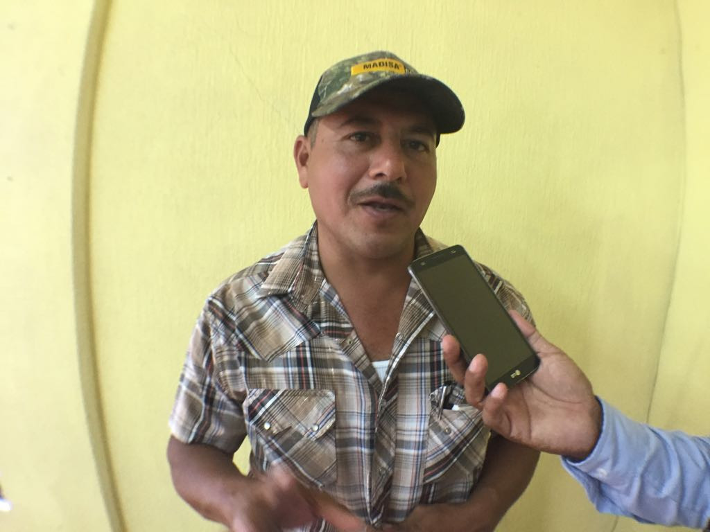 Registran las primeras muertes de reses a consecuencia de la sequía