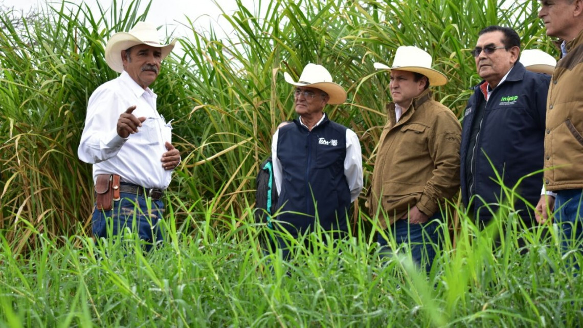 Inauguran Congresos de Agricultura y Ganadería Tropical