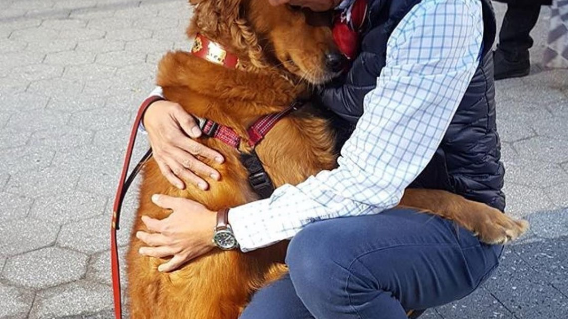 Perrita regala abrazos y se roba corazon de las personas 