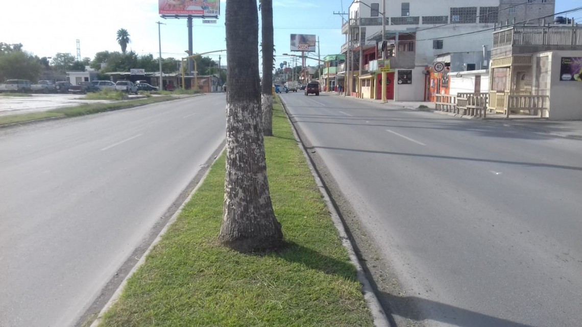 Embellecen cuadrillas calles y bulevares
