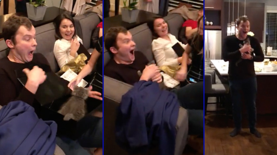  La emocionante reacción de un hombre al recibir como regalo un gato