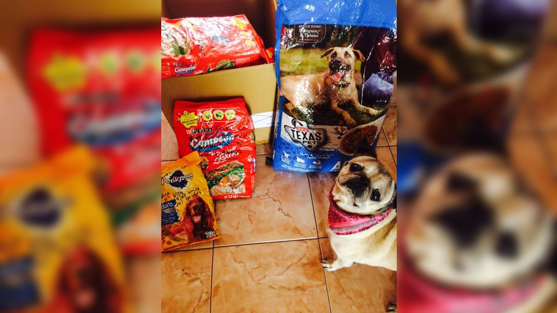 Apoyo entregado a NotiGAPE vuela de Tamaulipas a CDMX