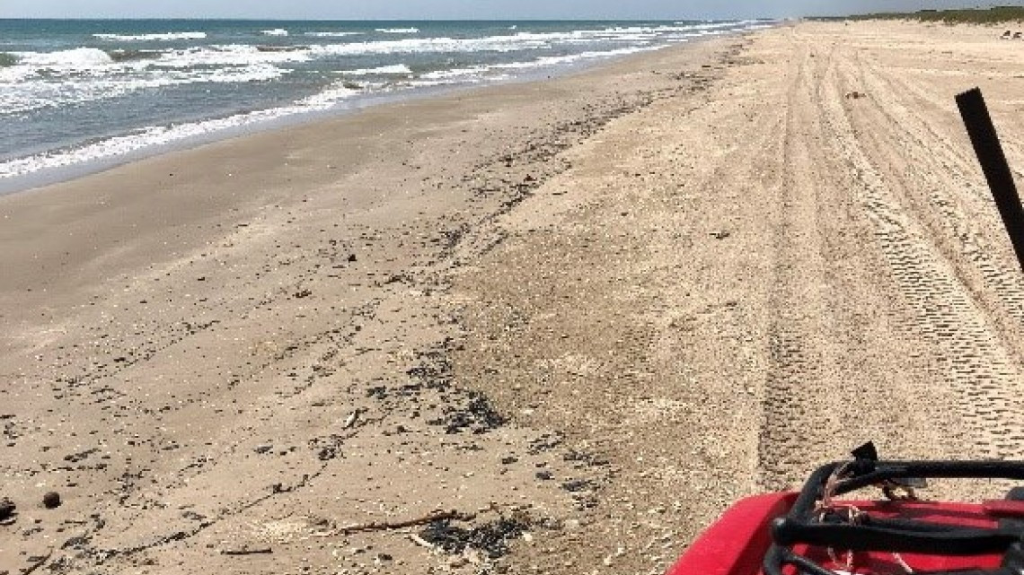 Realiza ASEA recorridos para determinar origen de hidrocarburo reportado en playas de Tamaulipas