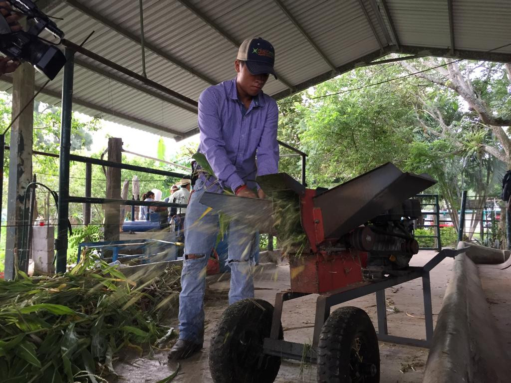 Estudiantes de agronomía, aprenden técnicas para hacer producir el campo en sus distintas modalidades.