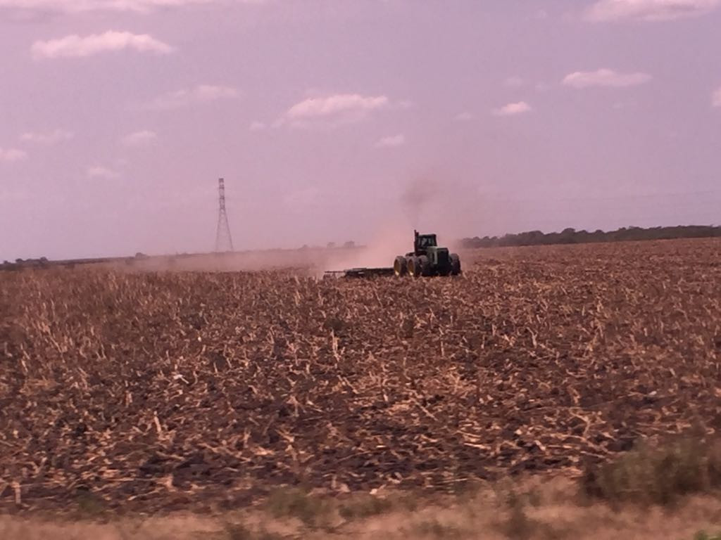 En riesgo la siembra de soya por falta de lluvias
