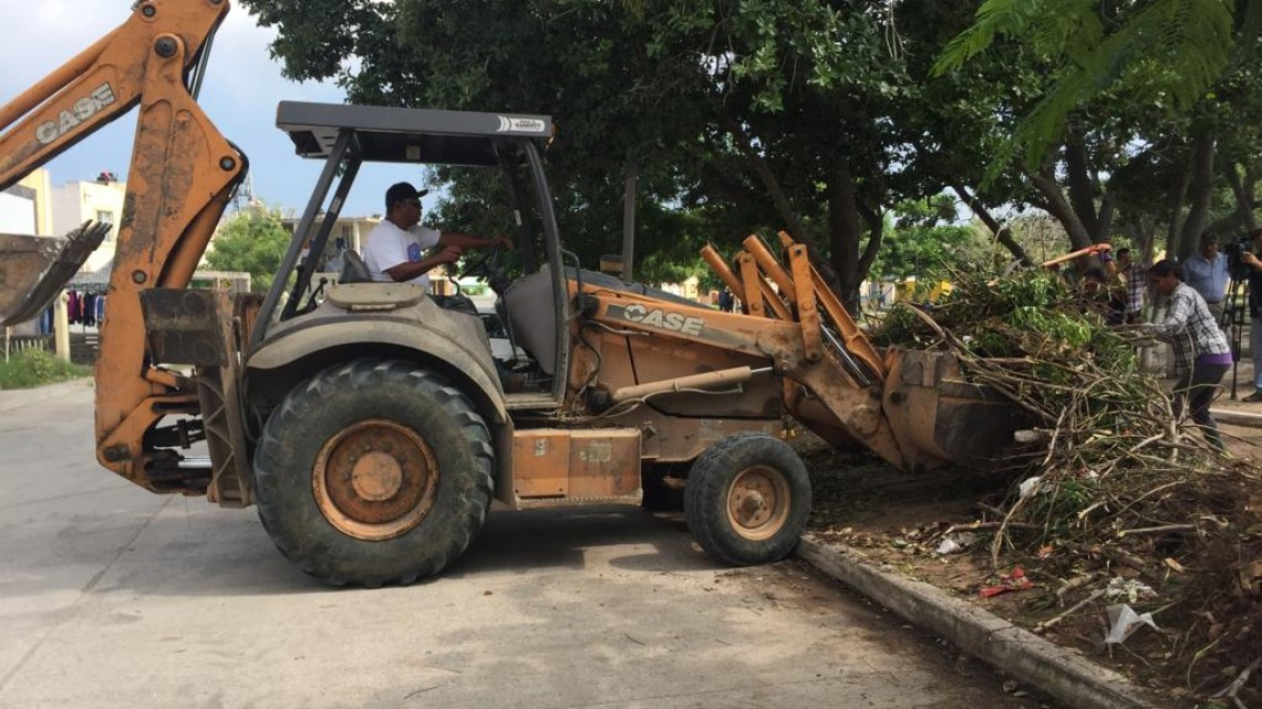 Retoman acciones de lucha contra el mosco transmisor del dengue