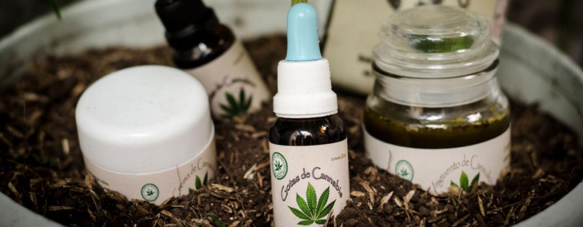 Mariguana medicinal buen negocio para el mercado negro, dice Arquidiócesis