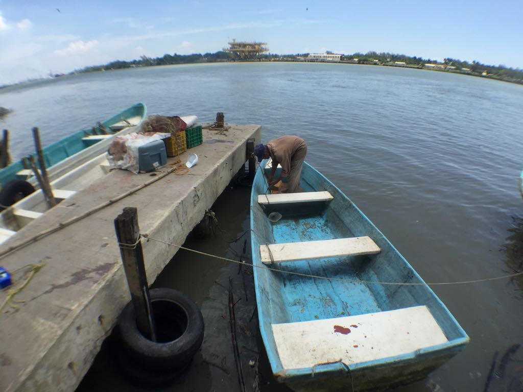En crisis sector pesquero, por falta de regulación y registros