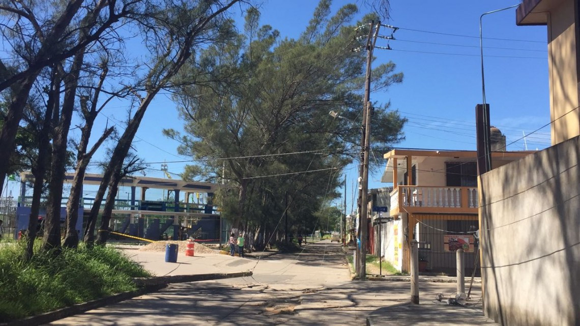 Pino tumba poste y cableado de CFE y deja sin luz a 100 viviendas