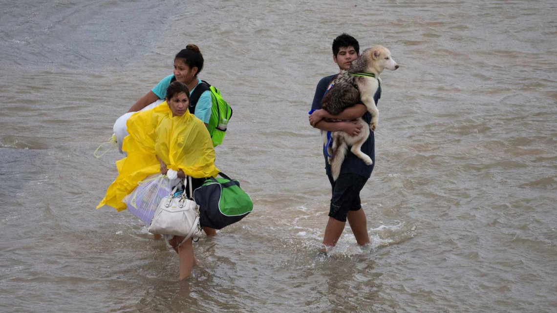 Comienza EU rescate de mascotas victimas de ‘Harvey’
