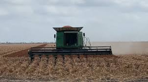 Lluvias permitirán preparación de tierras para el próximo ciclo agrícola