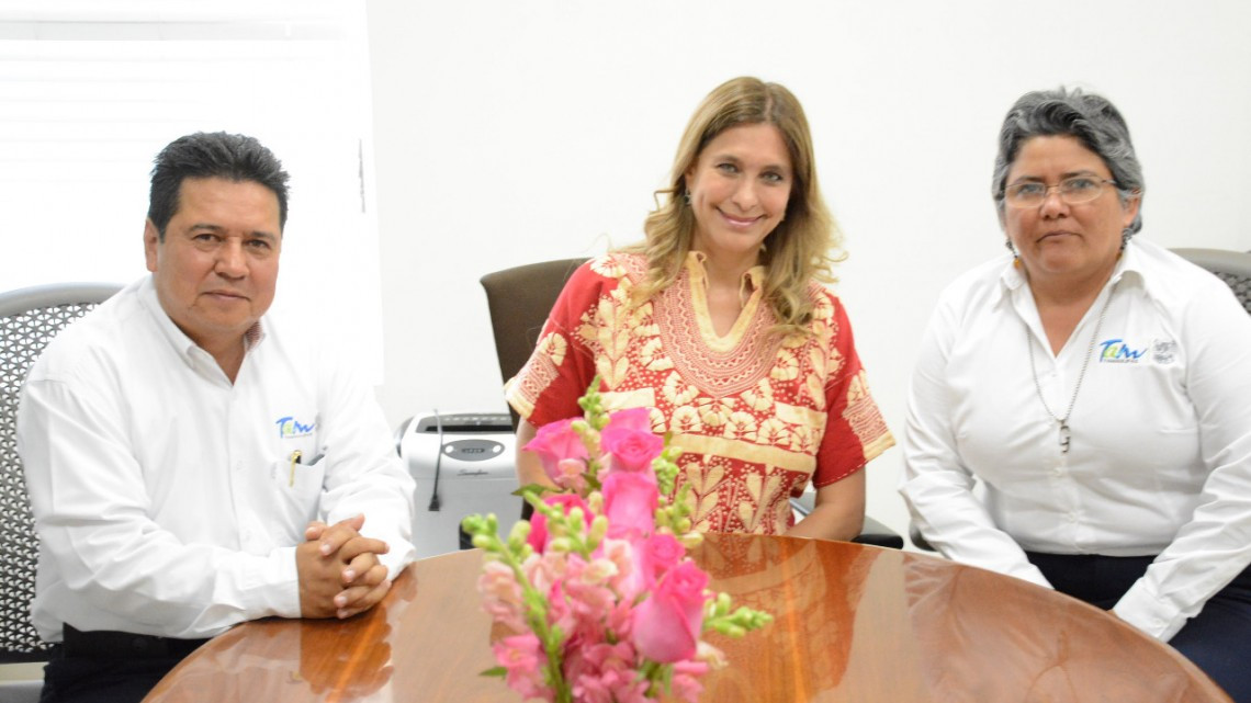 Buscan combatir enfermedades del dengue, zika y chikungunya