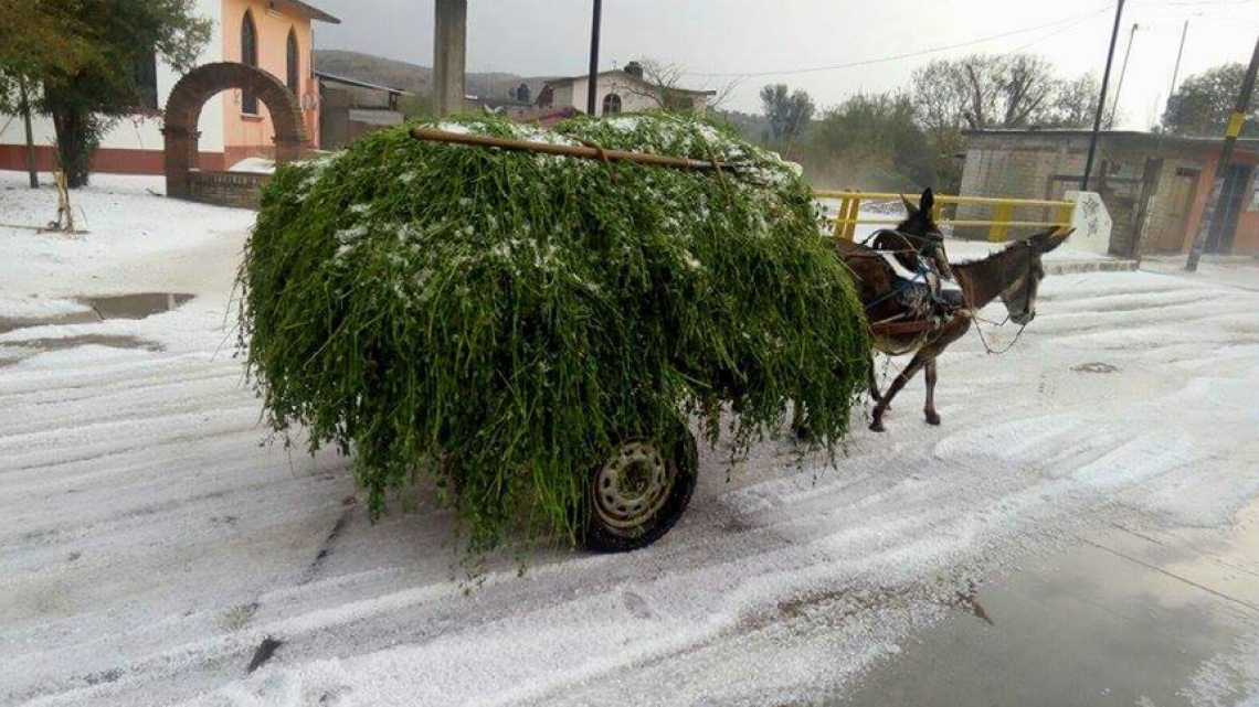 Segob declara emergencia en 5 municipios de Oaxaca