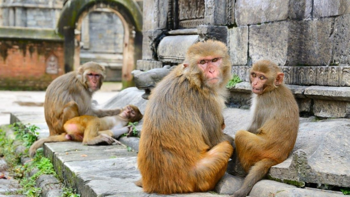 Gestionara Anto Tovar recursos para hospitales