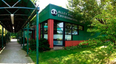 Roban tortuga de 100 años del Centro Ambiental Alley Pond