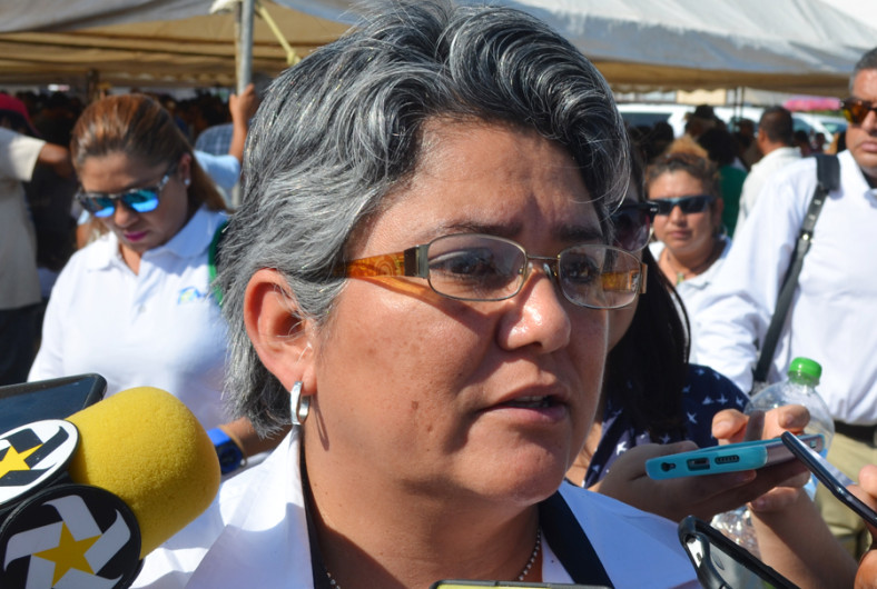 Exhortan a extremar medidas contra dengue, zika y chikungunya