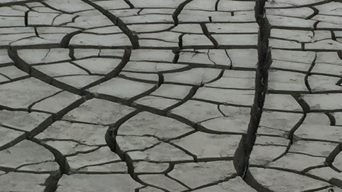 La falta de lluvias podría afectar el sector ganadero