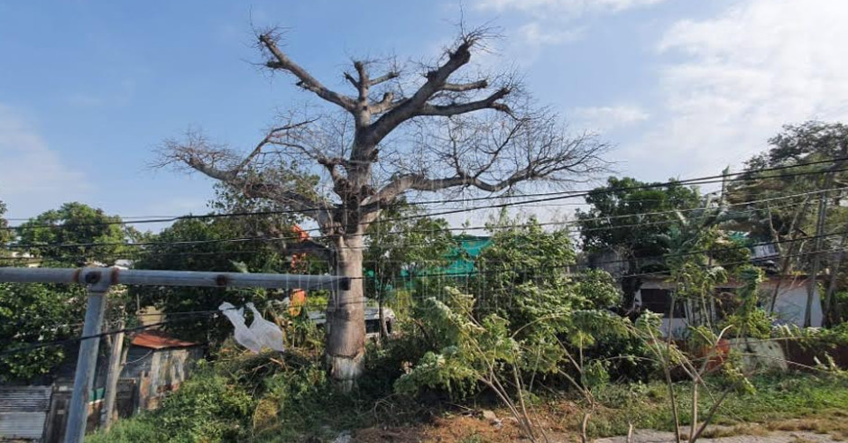 'Norte' causa destrozos en Tampico