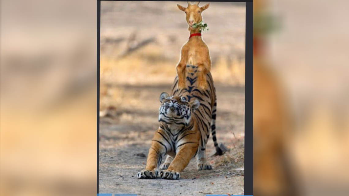 Los memes de la final Chivas vs Tigres